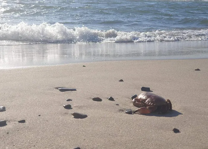 Semesterbostad Seaside Escape With Sauna - By Traum